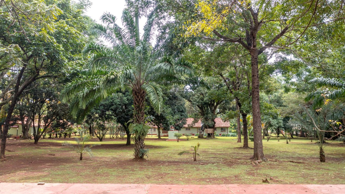 The lawns and old trees in the grounds of Masindi Hotel