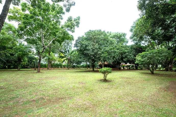 The camping ground at Masindi Hotel seen from the lawn